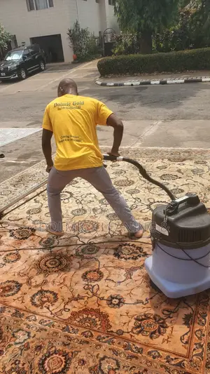 Dry Carpet Cleaning