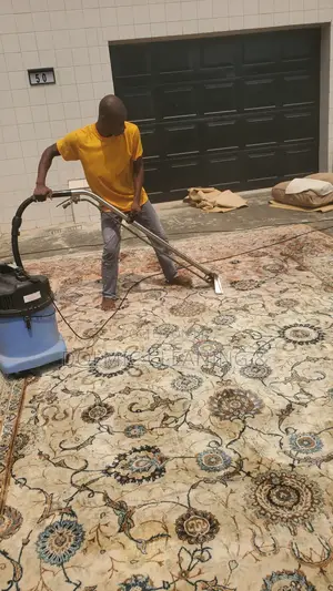Dry Carpet Cleaning