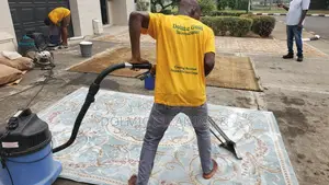 House Carpet And Rug Cleaners