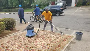 Professional Furniture And Carpet Cleaning