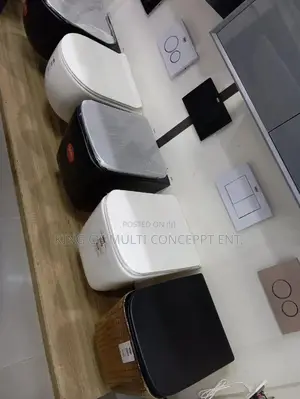 Wall Hung Luxury Water Closet