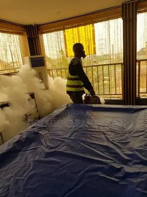 Pest Fumigation Services In Lagos
