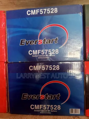 75ah Everstart Battery