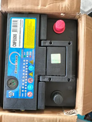 12v50ah Everstart Battery Made in Korea