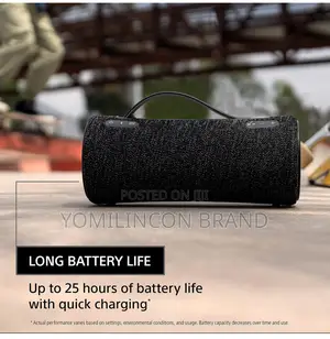 Sony SRS-Xg300 X-Series Wireless Portable
