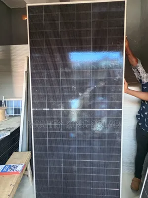This Is 750 Watts Mono Bifacia Panel