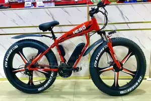 Big Tire Electric Bicycle