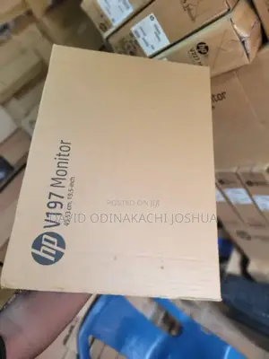 Hp V197 Monitor