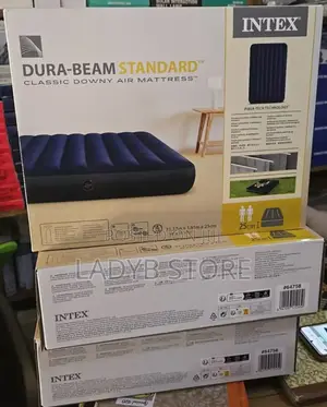 Inflatable Bed / Inflatable Sofa Bed With Pump