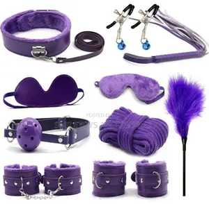 10 in One BDSM Kit