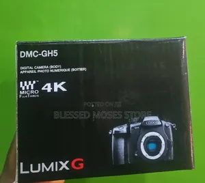 Panoramic Lumix Gh5 Camera