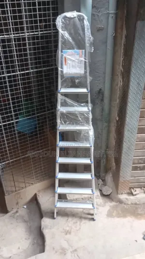 Original Quality a Sharp Ladder 9 Steps 2.5m