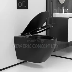 Black Wall Hung Toilet