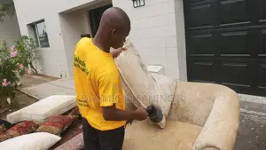 Furniture And Sofa Cleaning/Revamping