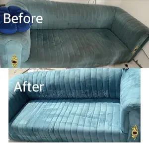 Best Sofa Transformation From Stain To Spotless