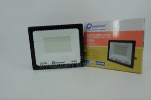 Electric Flood Light