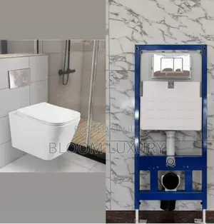 Wall Hung White Conceal Toilet