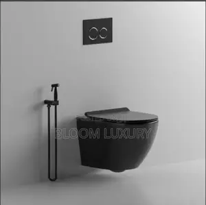 Matt Black Conceal Toilet