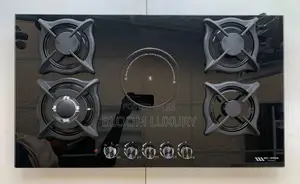 Inbuilt Electric And Gas Burner