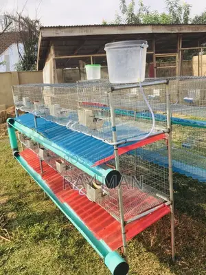 Rabbits Cages Construction and Sales