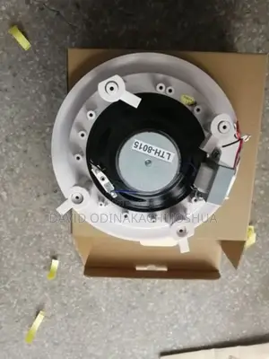 Celling Speaker 20w