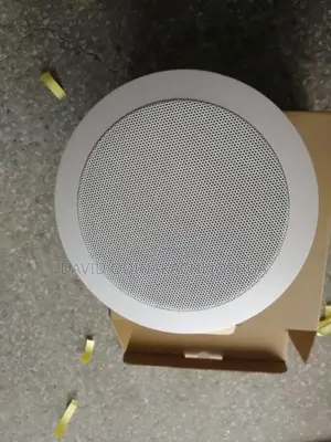 Celling Speaker 20w