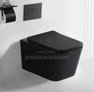 Matt Black Concealed Tank and Wall Hung Wc.