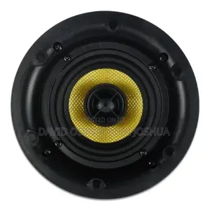 Hifi Bluetooth Ceiling Speaker 30w