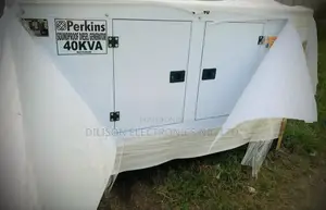 Brand New Perkins Soundproof Generator
