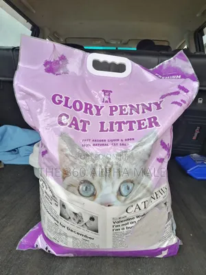 Cat Litter Sand