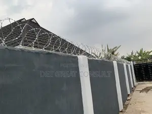Razor Barb Wire for Residential Buildings