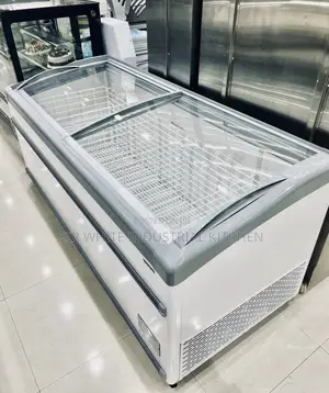 Supermarket Island Freezer Display