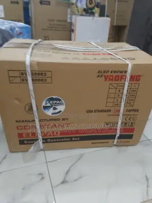 Elepaq 4.5kva Automatic Generator Sv6800e2 - High Quality