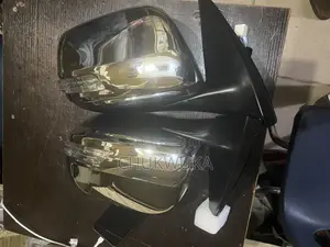 Side Mirror Prado Stainless