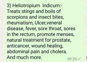 Jinja Boost Your Immune System