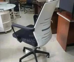 An Executive Mesh Chair With Black and White Color