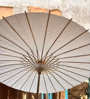 Chinese Umbrella