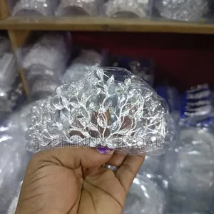 Silver Iron Crown