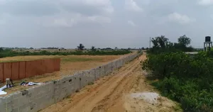 Government Allocation Land Along Lekki-Epe Expressway Ibeju
