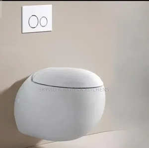 Egg Shaped Concealed Wc
