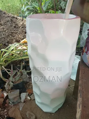Flowers and Pot in Ikeja Lagos at Gozman