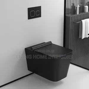 Black Conceal Toilet Seat High Quality 