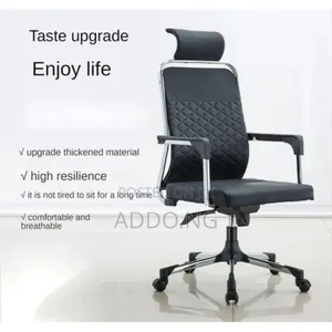 Home and Office Work Chair
