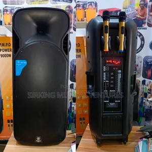 Double Pa System 15inches 9000w