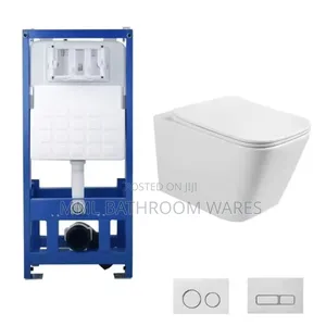 Wall Mounted Toilet Seats With Conceal Tank
