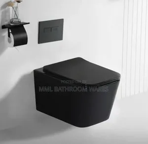 Matte Black Wall Hung Toilet Seats
