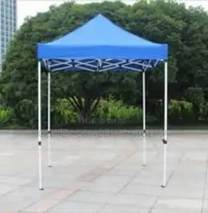 Foldable Canopy 10 Feet X 10 Feet