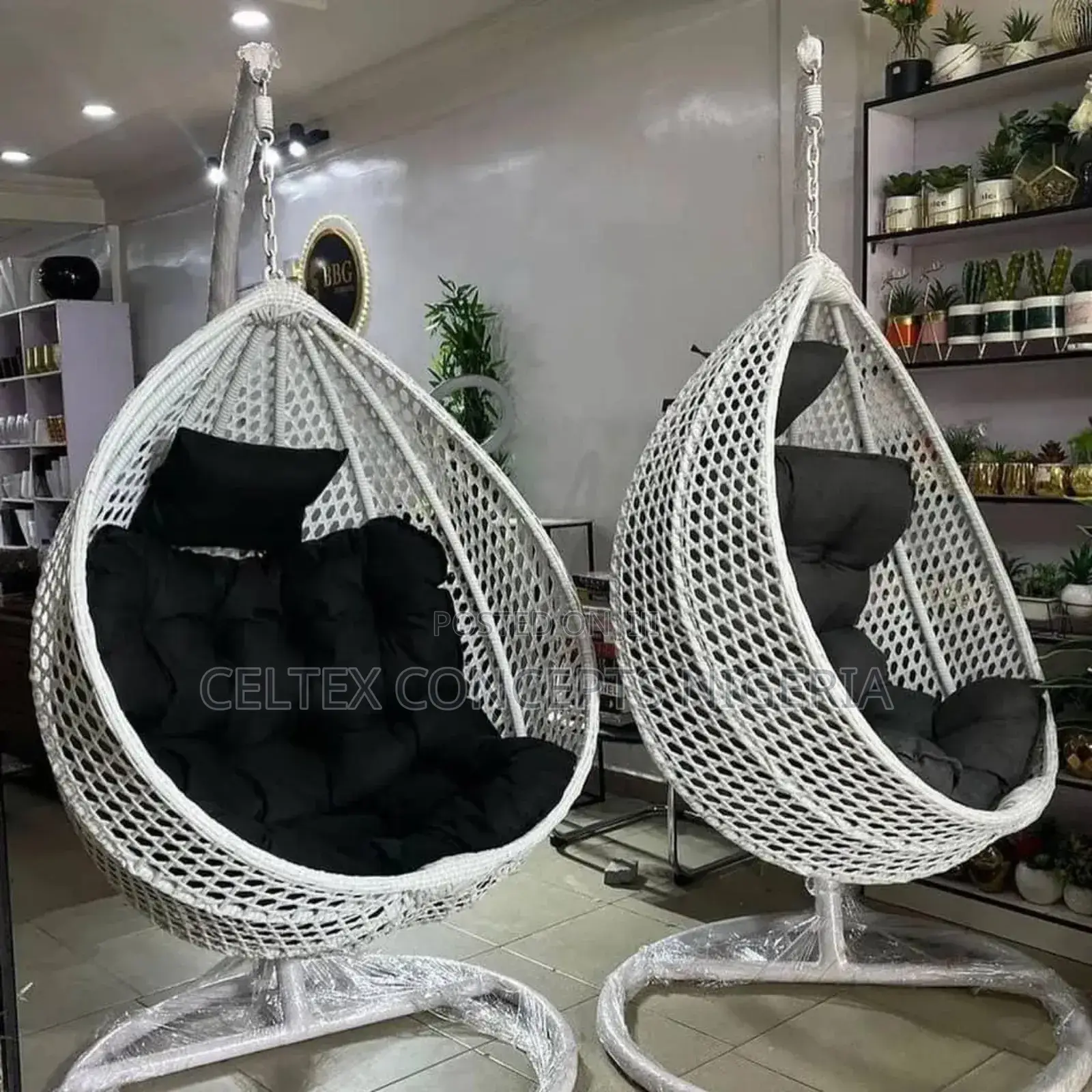 Basket Swing/Hammock