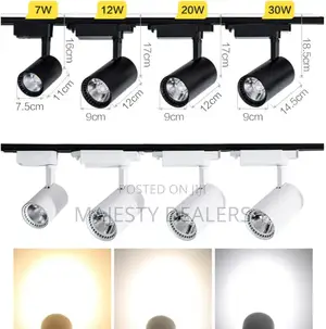 Track Light 3in1 or Warm White