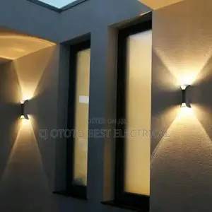 Led Outdoor Light
